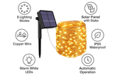 Pack of 2 LED PIR Motion Sensor Stake Lights